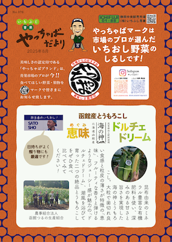 2025年7月号-2