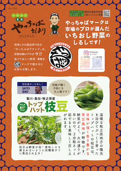 2025年6月号-2