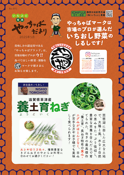 2025年5月号