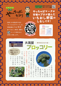 やっちゃばだより 2025年11月号 2025年11月号