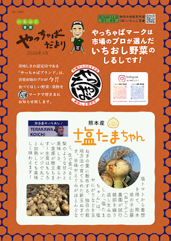 やっちゃばだより 2026年3月号-3 2026年3月号-3