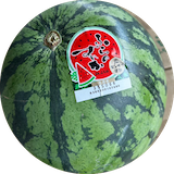 富良野スイカ