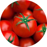 リサ・フルーツトマト